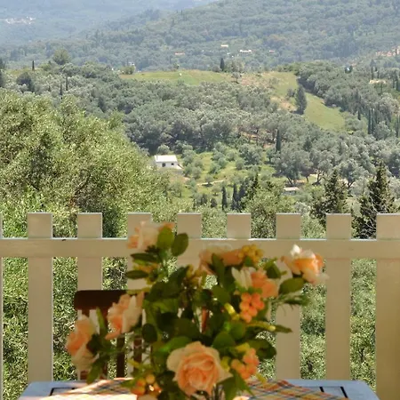 Irini Kiki Appartamento Agios Georgios Pagon